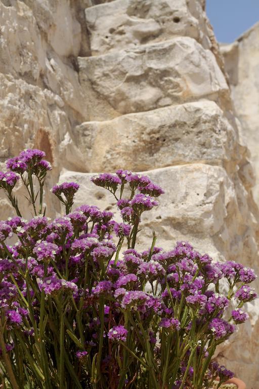 Masseria Madonna Dell'Arco Agriturismo Martina Franca Eksteriør bilde